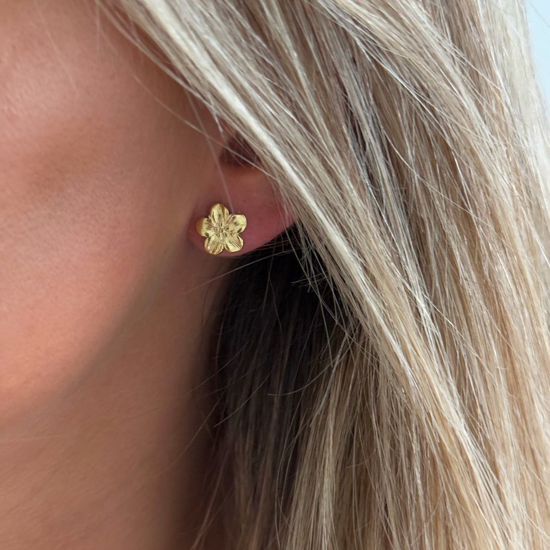 Boucles Hawai