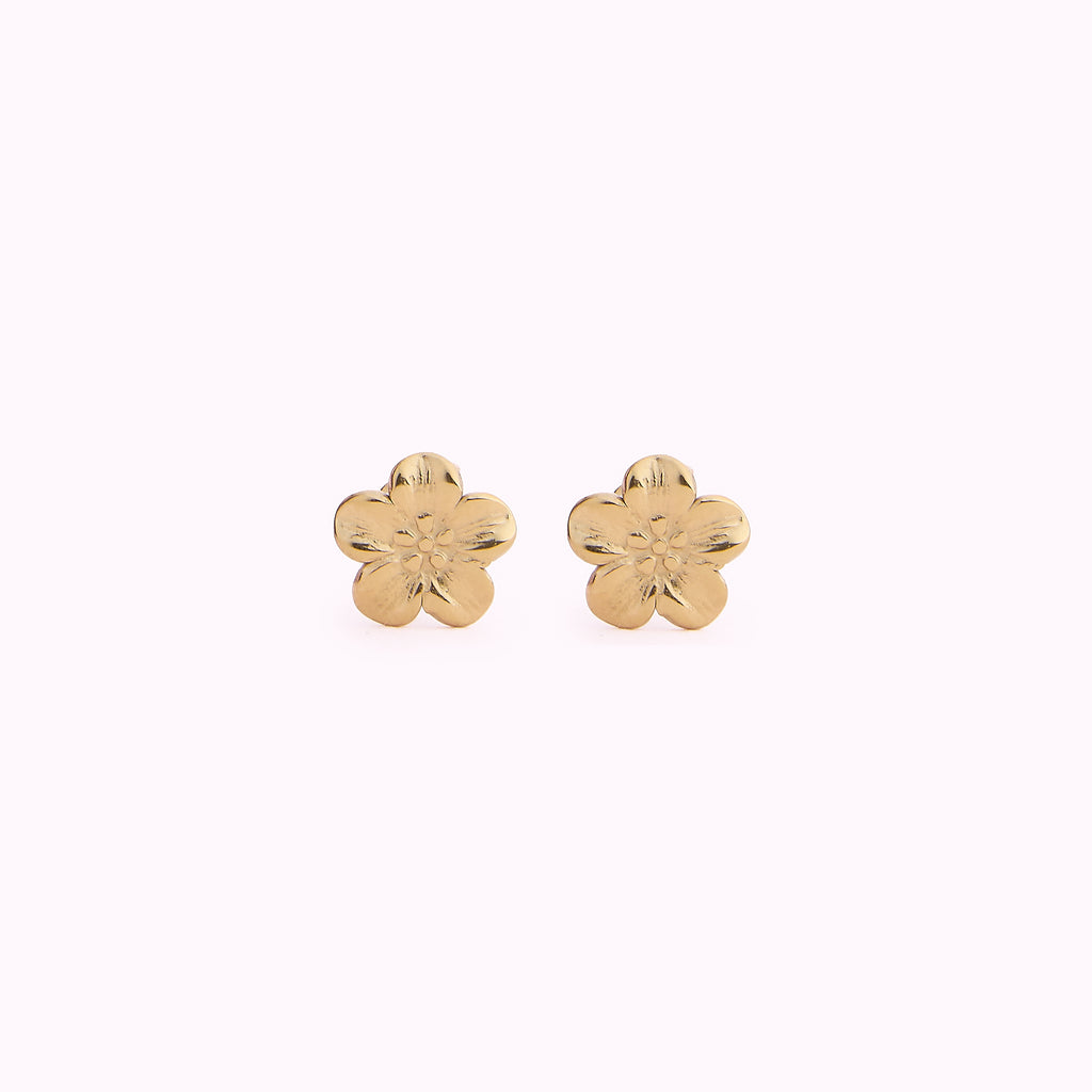 Boucles Hawai